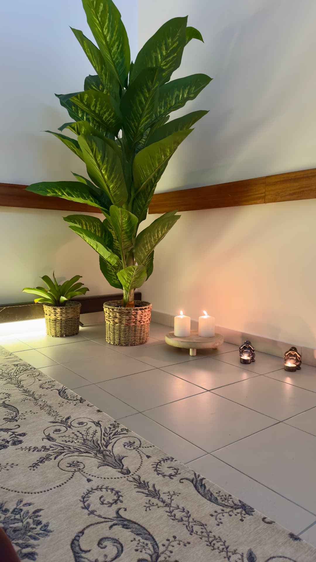 Plantas e velas na sala do estúdio